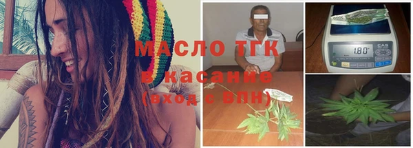 сатива Новодвинск