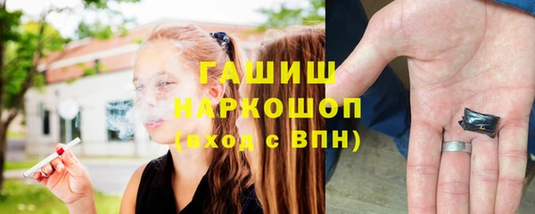 сатива Новодвинск