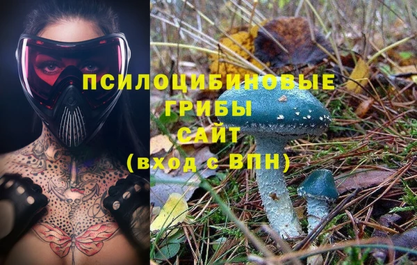 СК Новокубанск