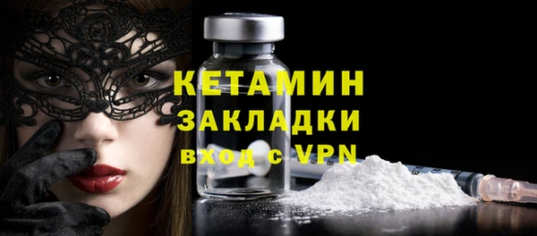 сатива Новодвинск