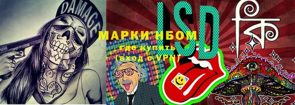 мдма Новозыбков