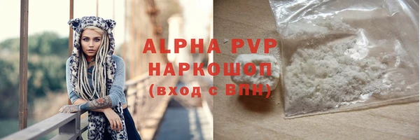 сатива Новодвинск
