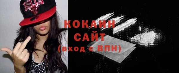 сатива Новодвинск