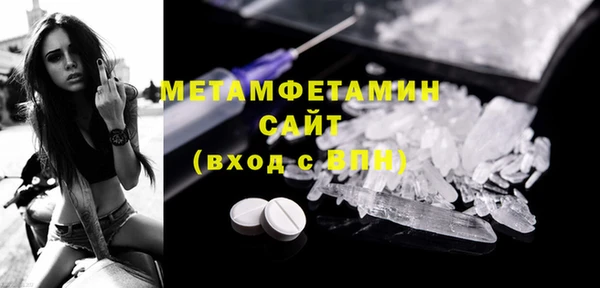 сатива Новодвинск