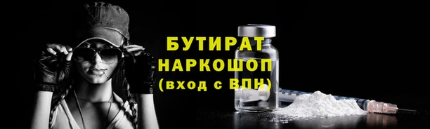 сатива Новодвинск