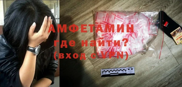 сатива Новодвинск