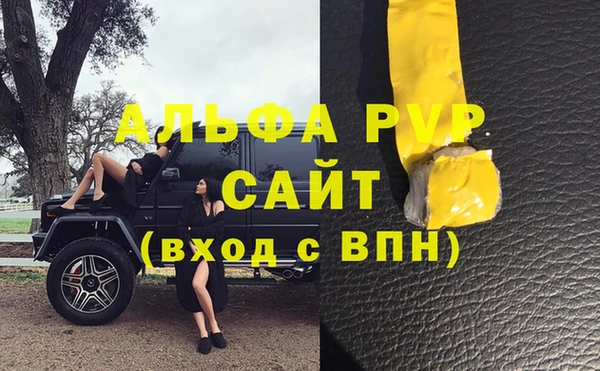 СК Новокубанск