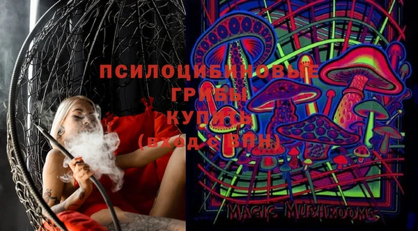 гашиш Няндома