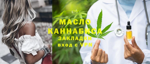сатива Новодвинск