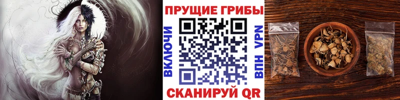 блэк спрут ссылка  Осташков  Псилоцибиновые грибы прущие грибы  купить наркоту 