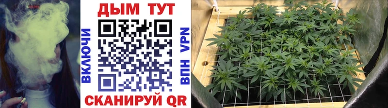 Конопля Bruce Banner Осташков
